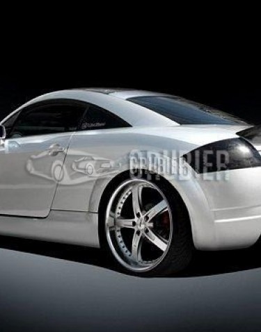 - REAR SPOILER - Audi TT 8N - "WR-S"